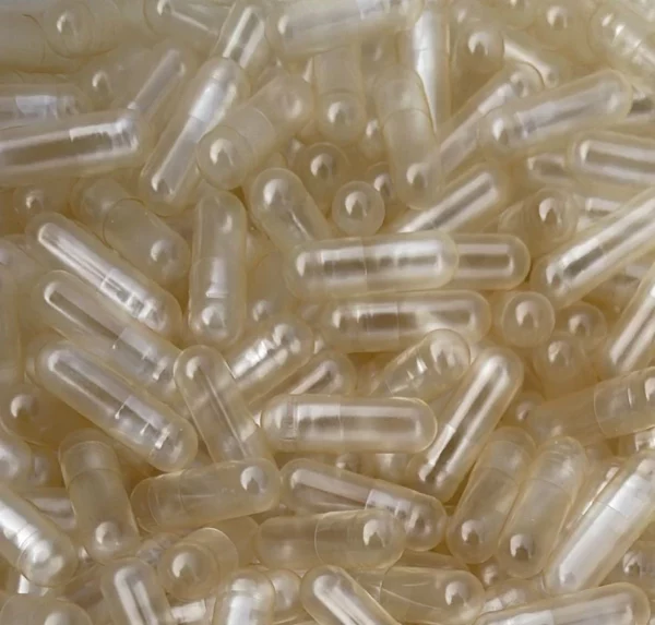 100 GELULES VEGE TAILLE 00
