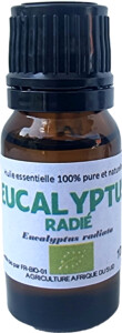 H.E. EUCALYPTUS RADIE 30ml*
