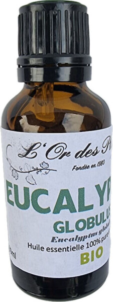H.E. EUCALYPTUS GLOBULUS 100ml*