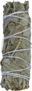SAUGE BLANCHE ficelle 23cm